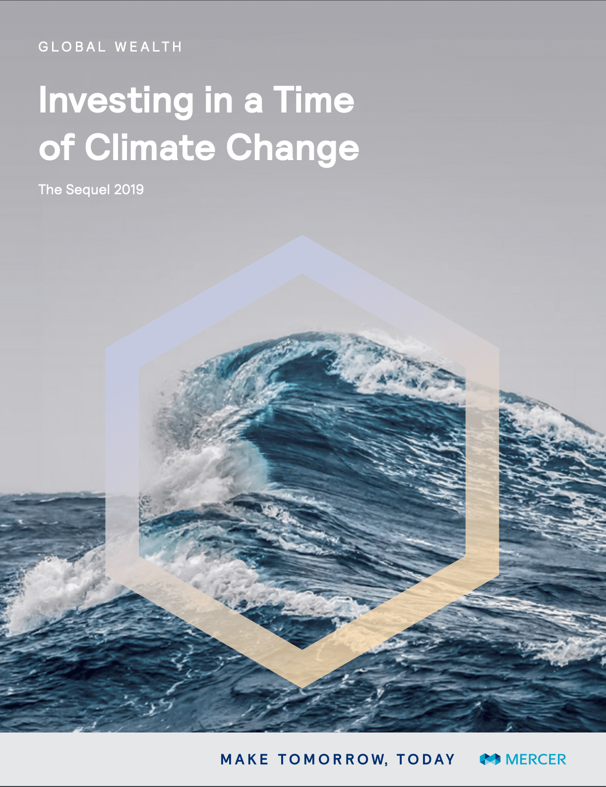 Investing in a time of climate change: The sequel 2019