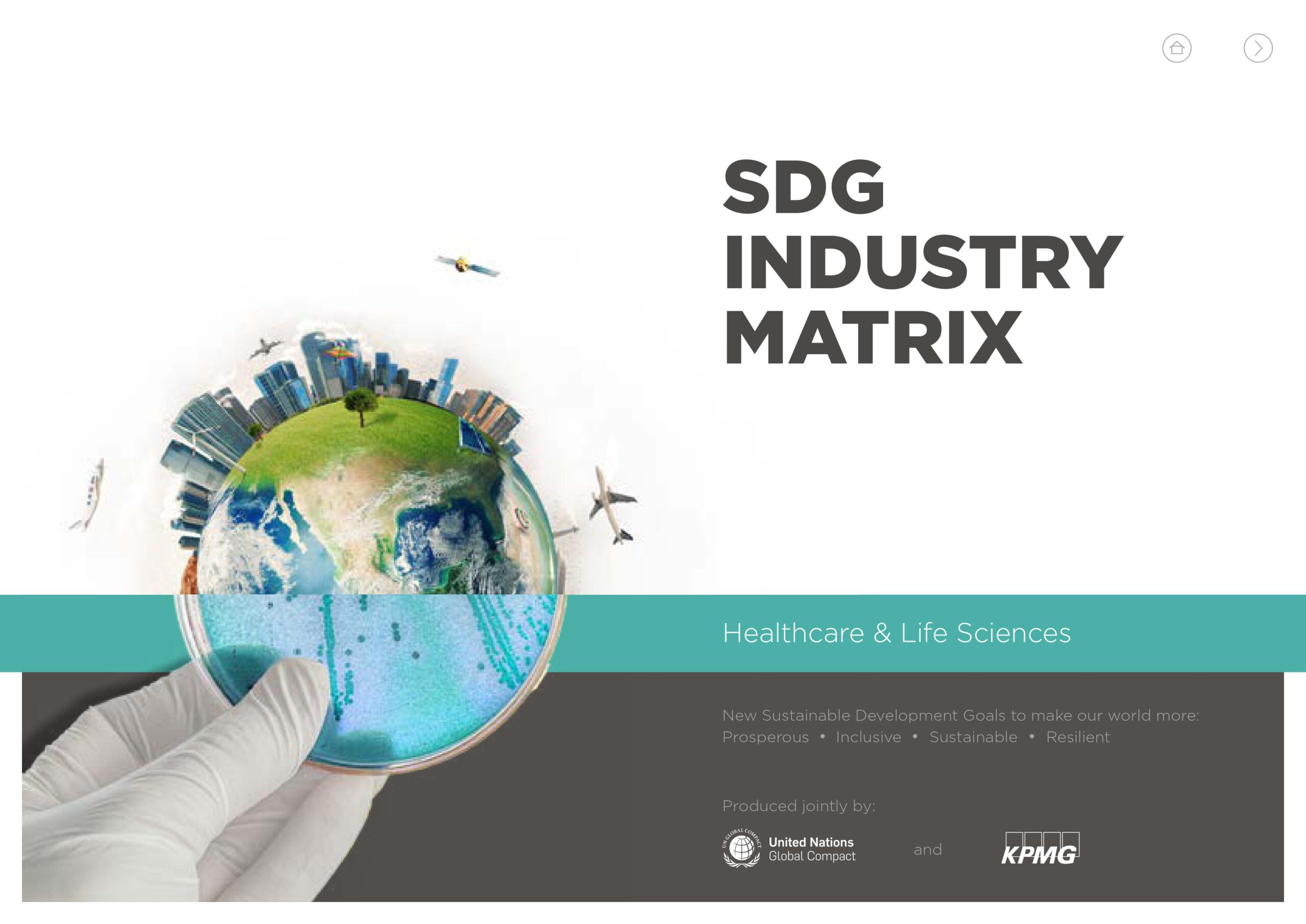 SDG Industry Matrix: Healthcare and life sciences