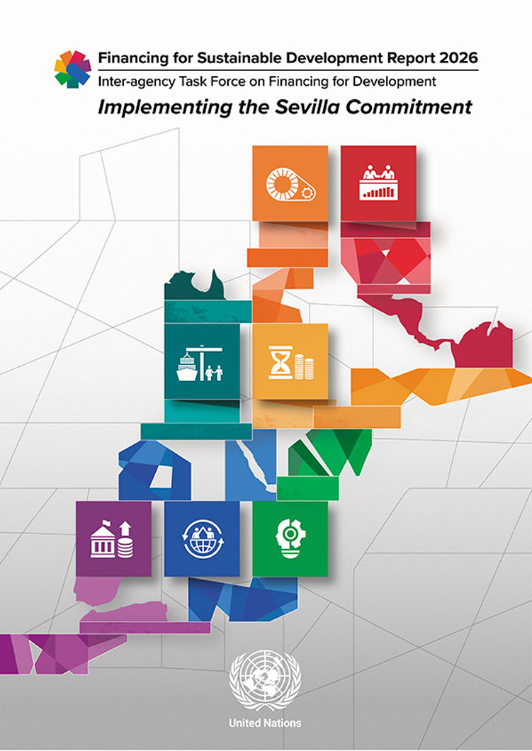 Financing for sustainable development report series