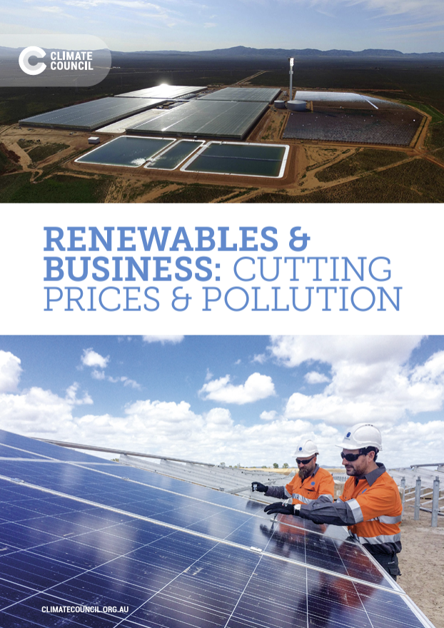 Renewables and business: Cutting prices and pollution