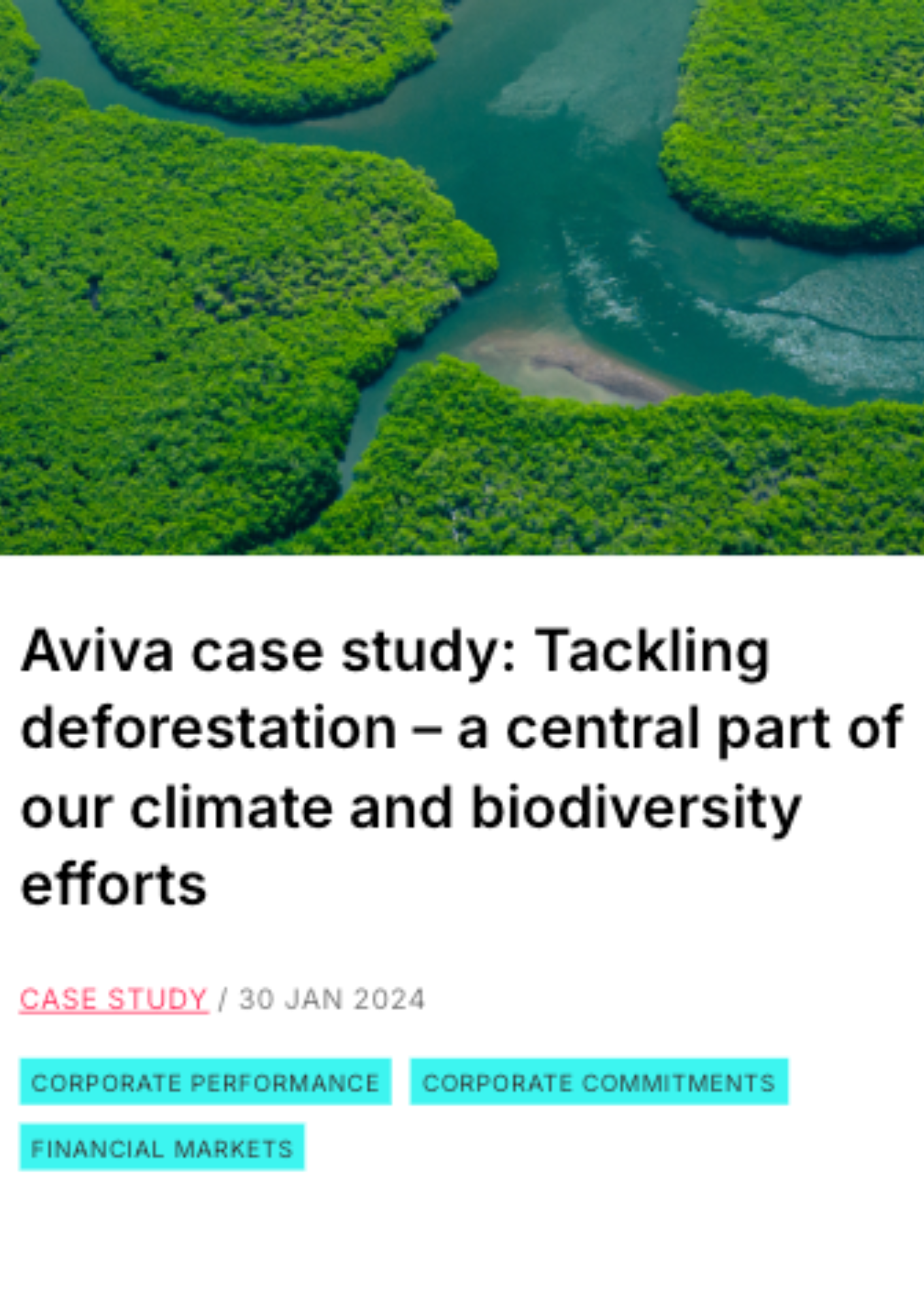 Aviva case study: Tackling deforestation – a central part of our climate and biodiversity efforts