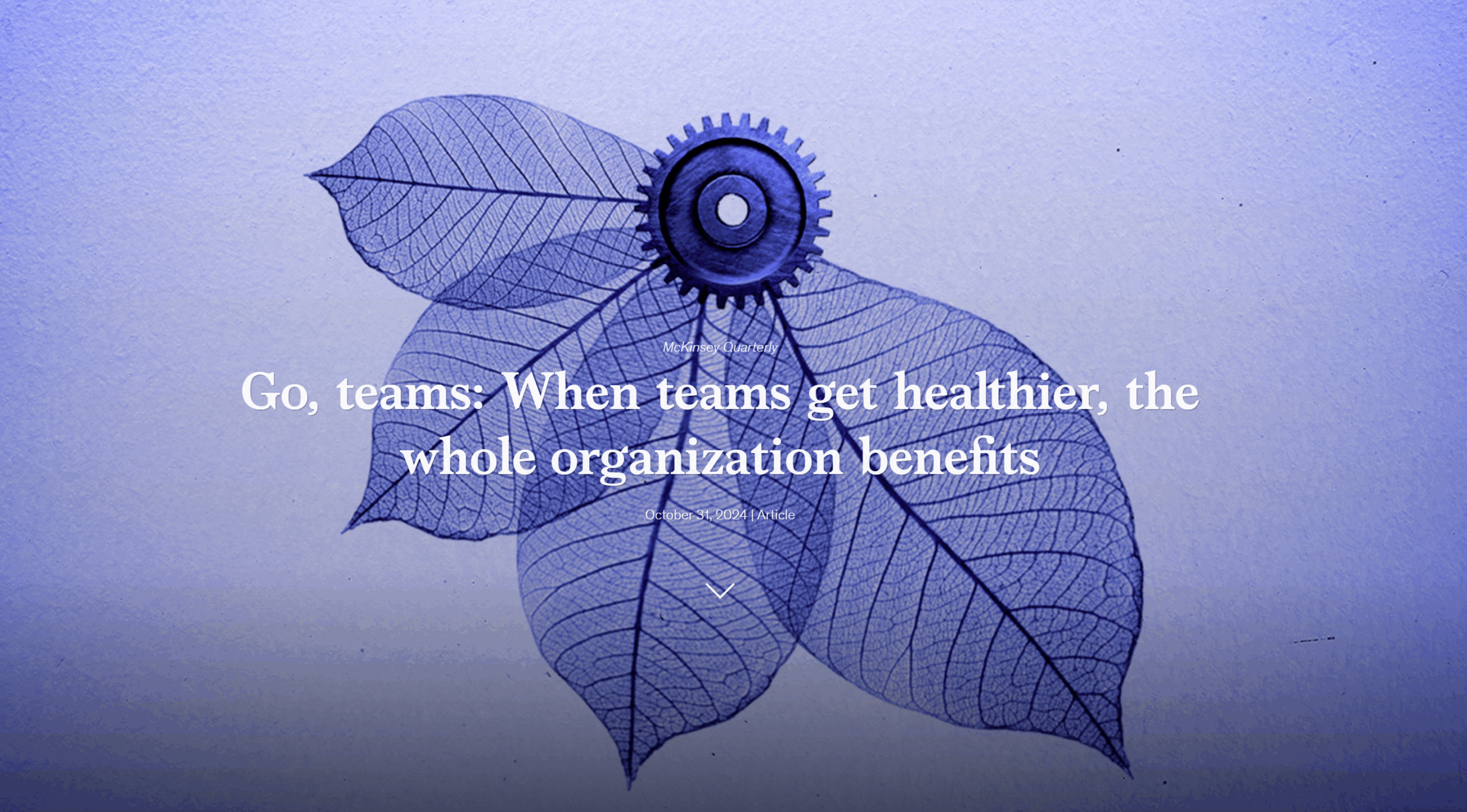 Go, teams: When teams get healthier, the whole organization benefits