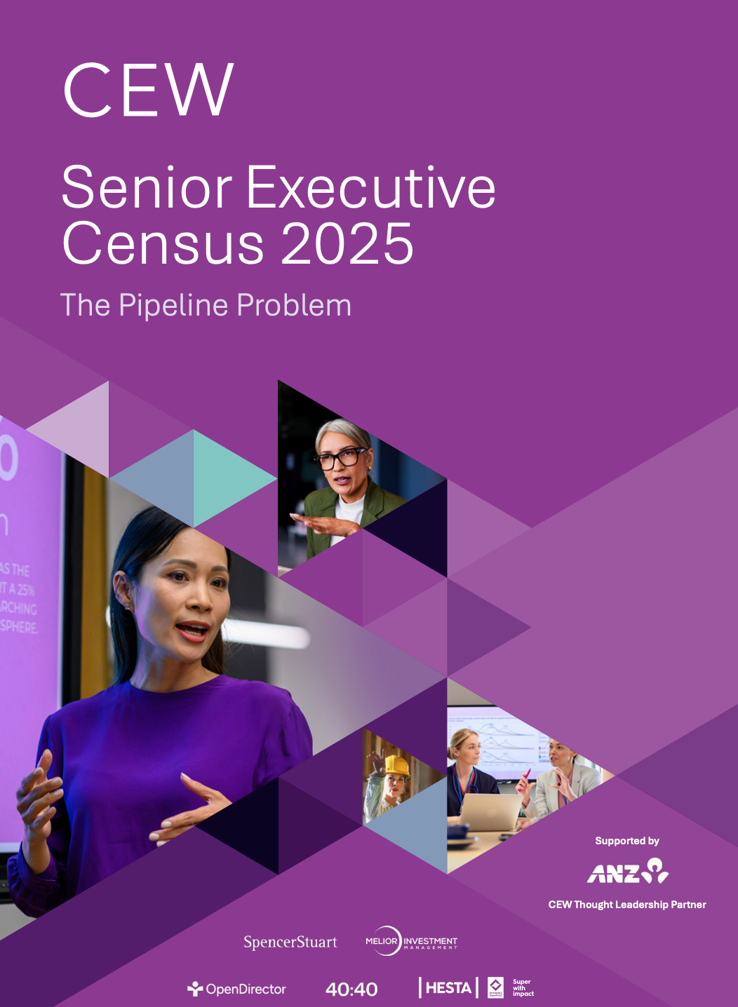 CEW's senior executive census series