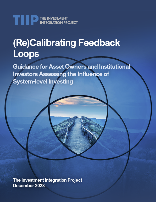 Recalibrating feedback loops: Guidance for asset owners and institutional investors assessing the influence of system-level investing