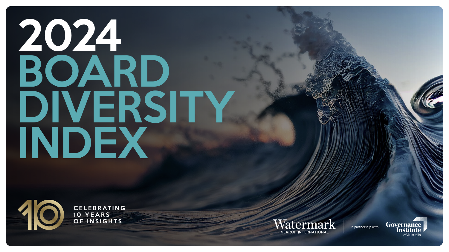2024 board diversity index