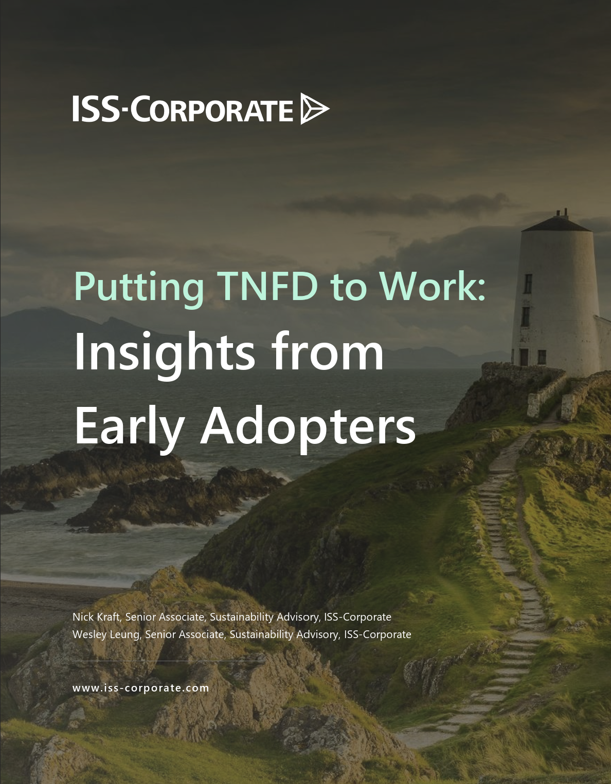 Putting TNFD to work: Insights from early adopters