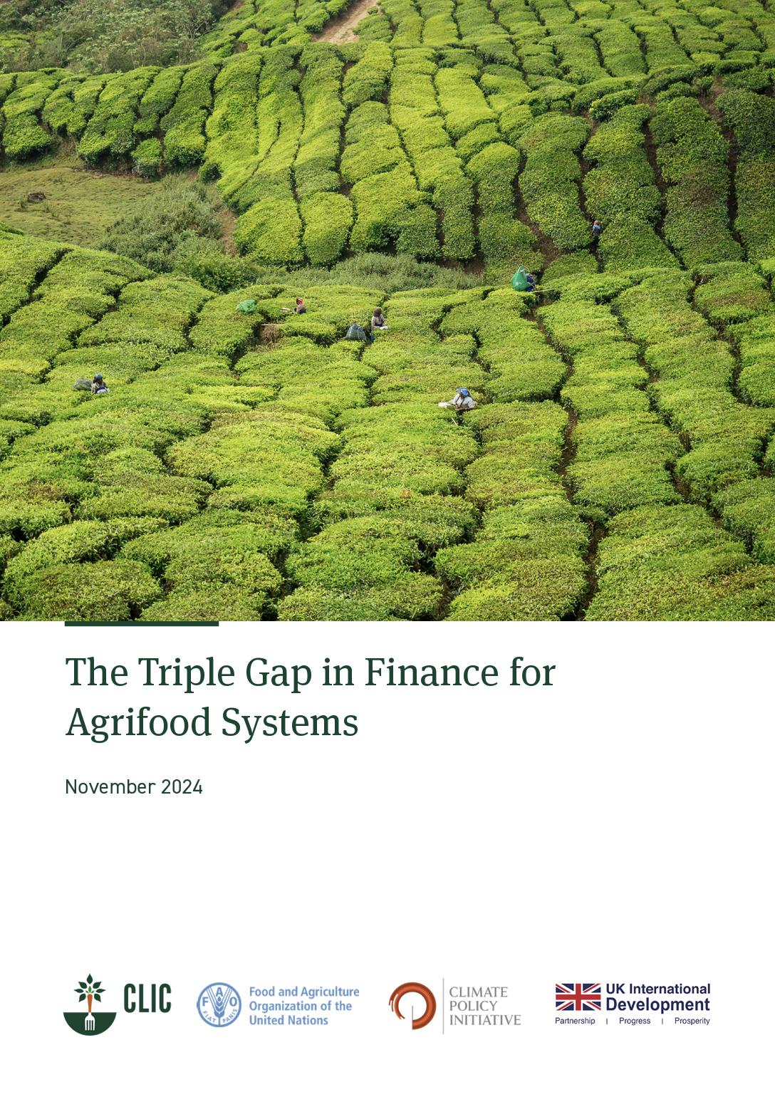 The triple gap in finance for agrifood systems