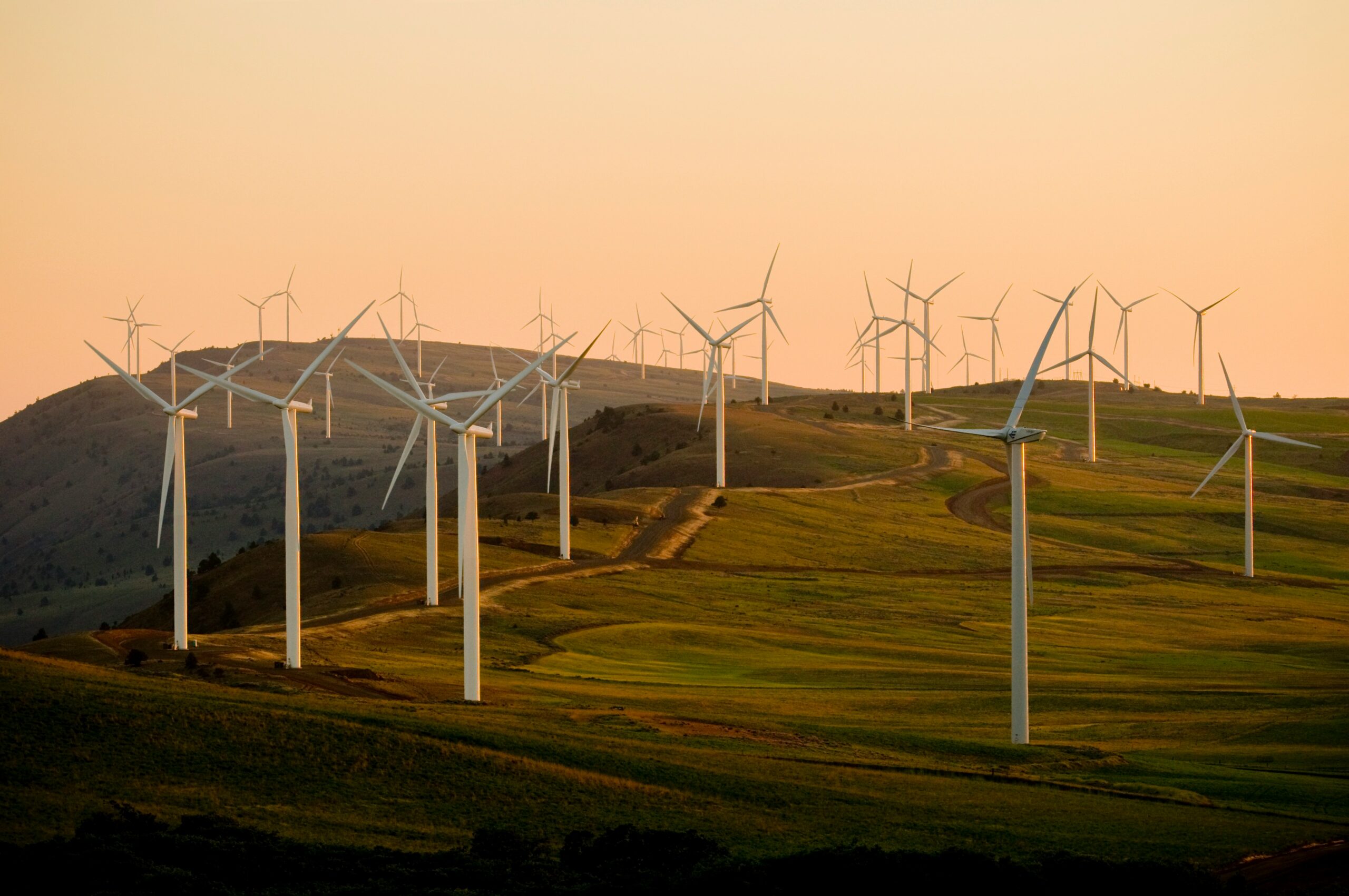 Best of August 2025: Sustainable Finance Reads