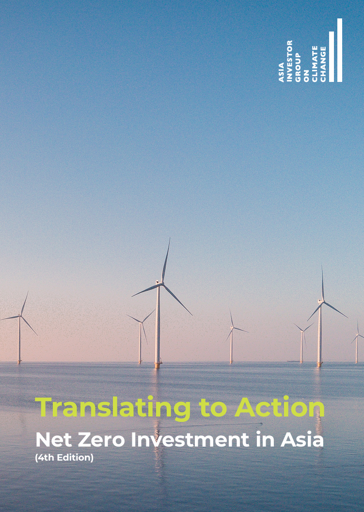 Translating to action: Net zero investment in Asia