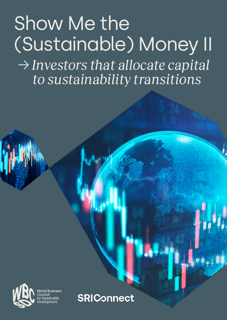Show me the (sustainable) money II: Investors that allocate capital to sustainability transitions