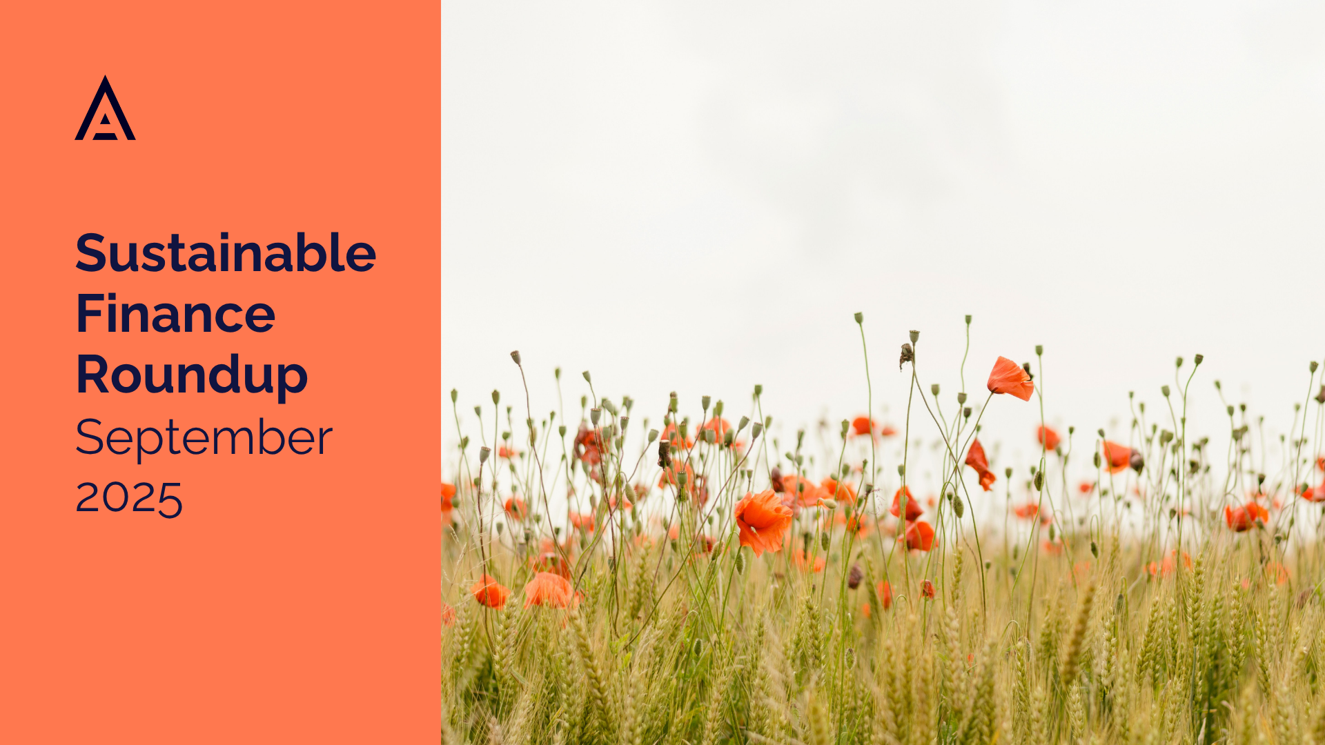 Sustainable Finance Roundup September 2025: Policy, Markets, and Momentum