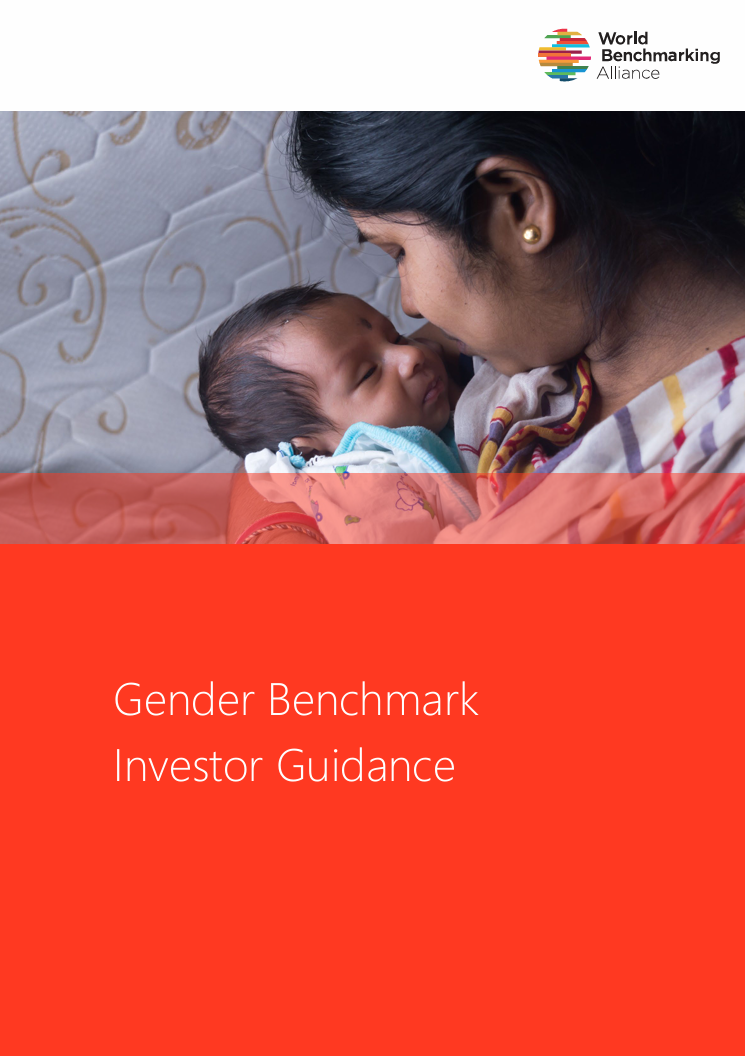 Gender benchmark investor guidance