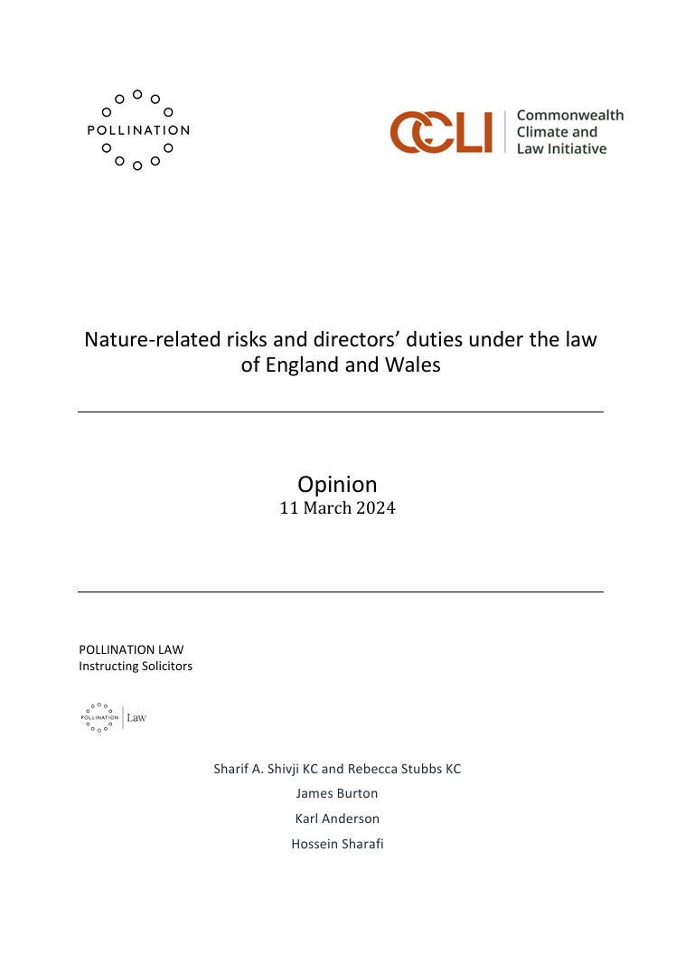 Nature-related risks and directors’ duties under the law of England and Wales