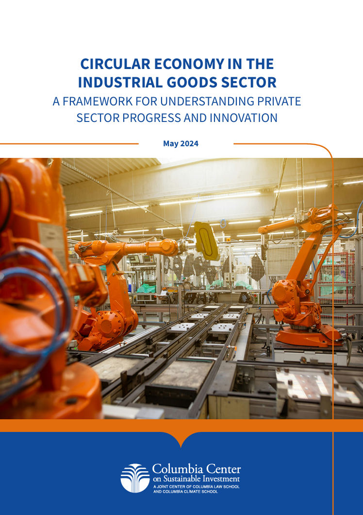 Circular economy in the industrial goods sector: A framework for understanding private sector progress and innovation
