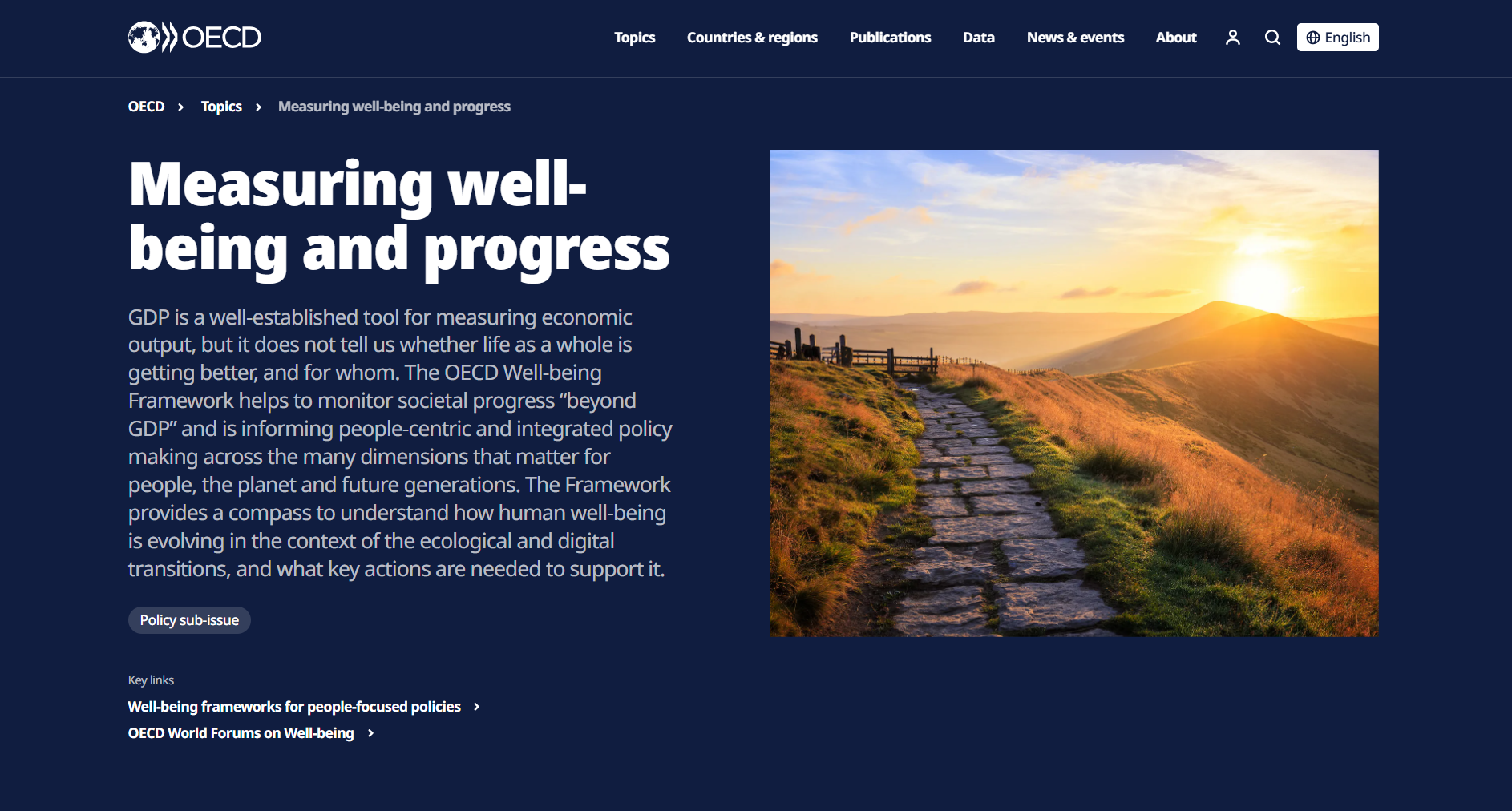 OECD well-being framework