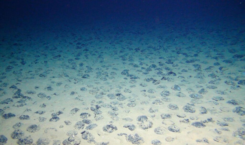 Polymetallic nodules that look like small rocks on the floor of the deep sea.