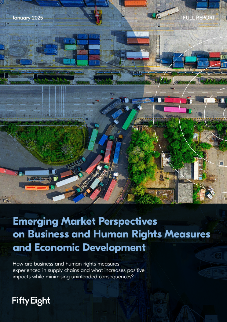 Emerging market perspectives on business and human rights measures and economic development