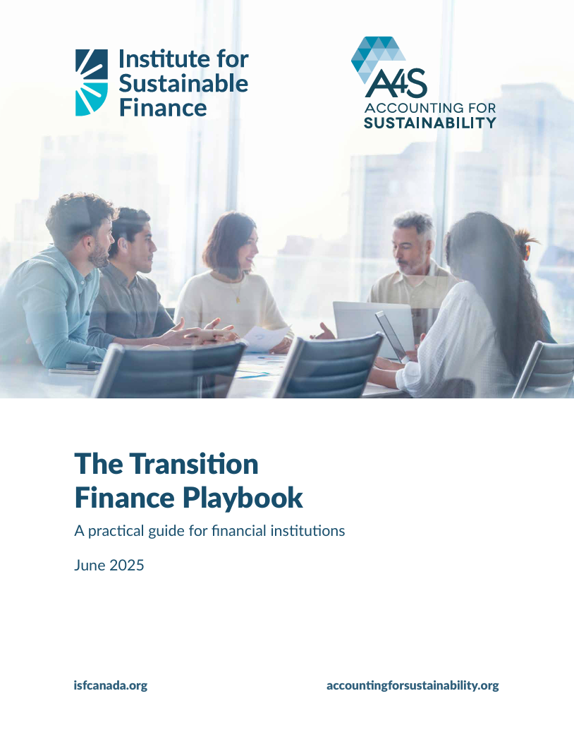 The transition finance playbook: A practical guide for financial institutions