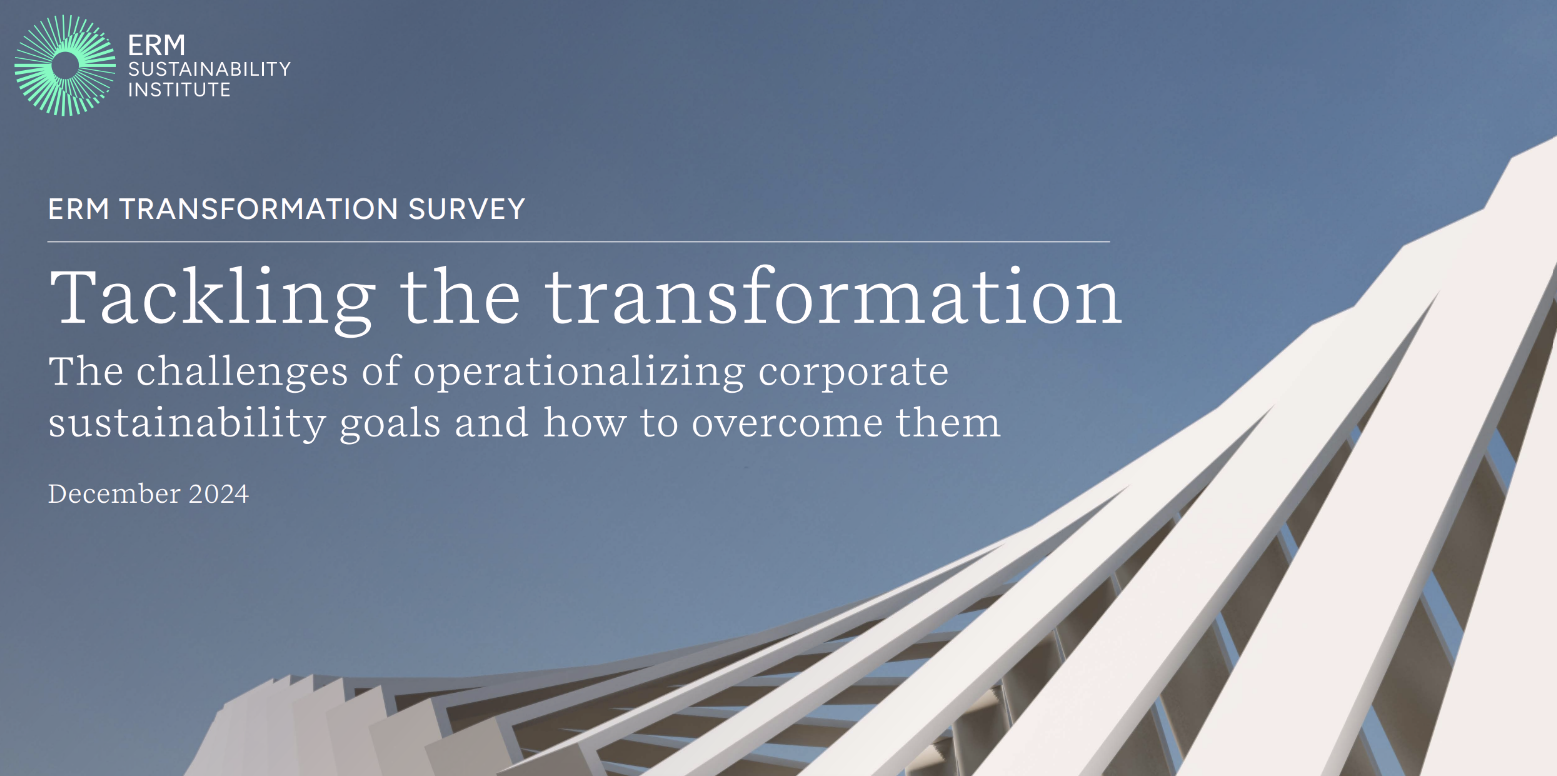 Tackling the transformation: The challenges of operationalizing corporate sustainability goals and how to overcome them