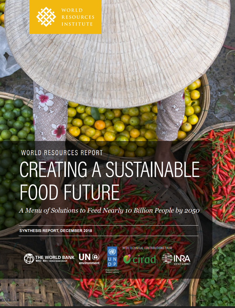 Creating a sustainable food future
