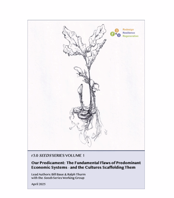 Our predicament: The fundamental flaws of predominant economic systems - and the cultures scaffolding them