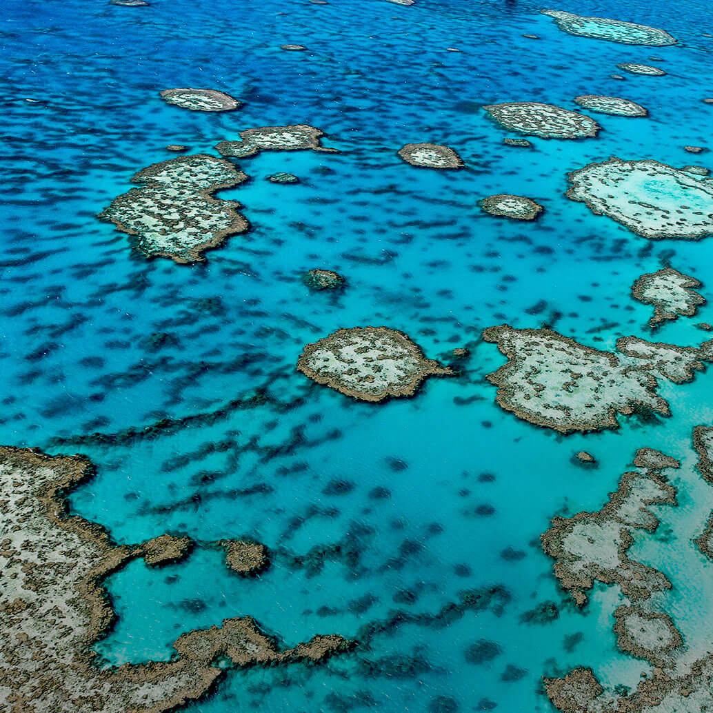 World Database on Protected and Conserved Areas (WDPCA)