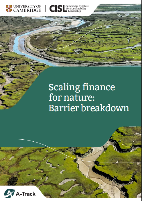 Scaling finance for nature: Barrier breakdown