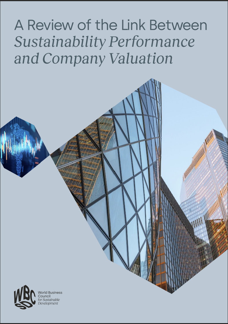 A review of the link between sustainability performance and company valuation