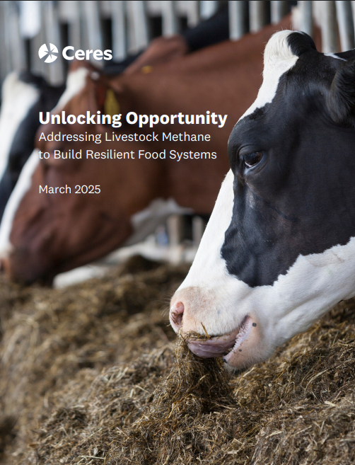 Unlocking Opportunity: Addressing Livestock Methane to Build Resilient Food Systems