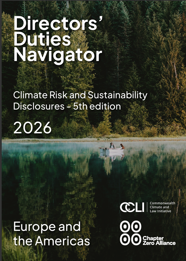 Directors’ duties navigator: Climate risk and sustainability disclosures series