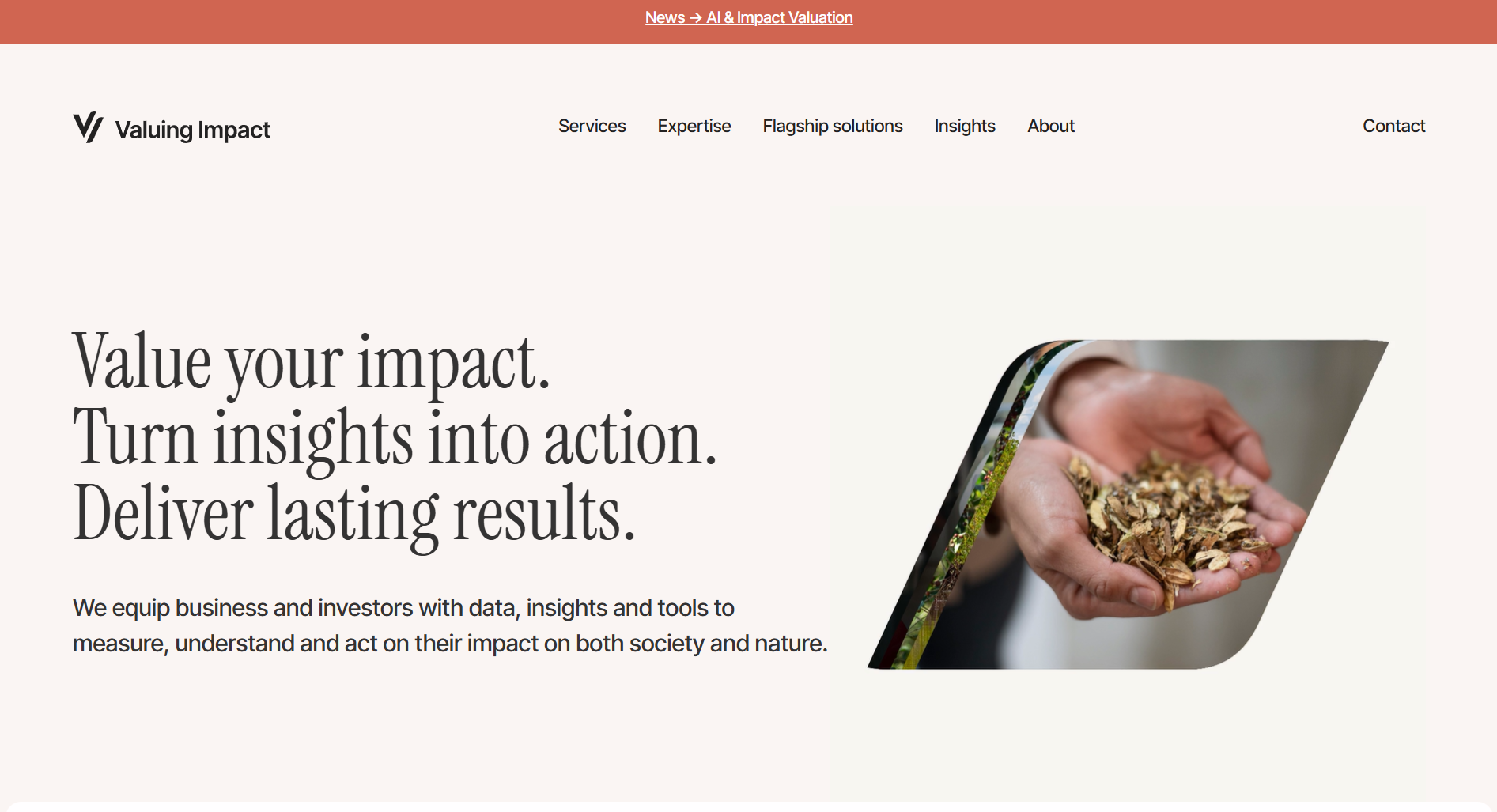 Impact Thinking Canvas