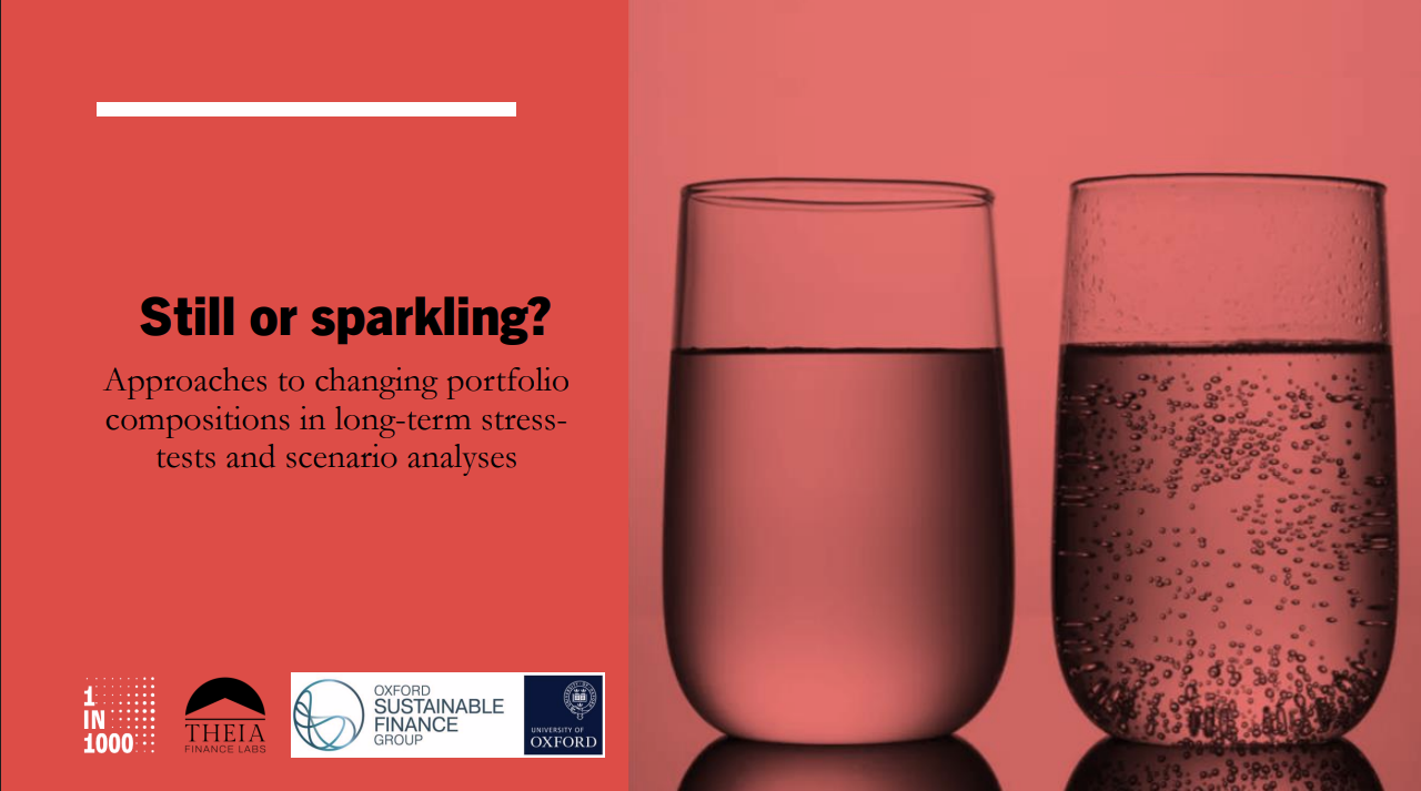 Still or sparkling?: Approaches to changing portfolio compositions in long-term stress-tests and scenario analyses