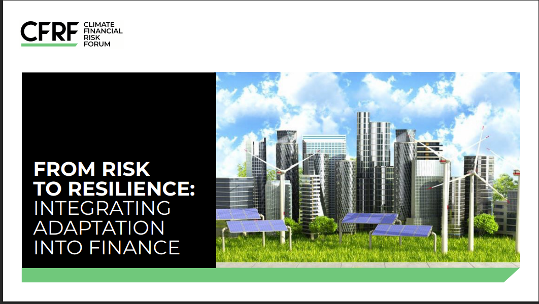 From risk to resilience: Integrating adaptation into finance
