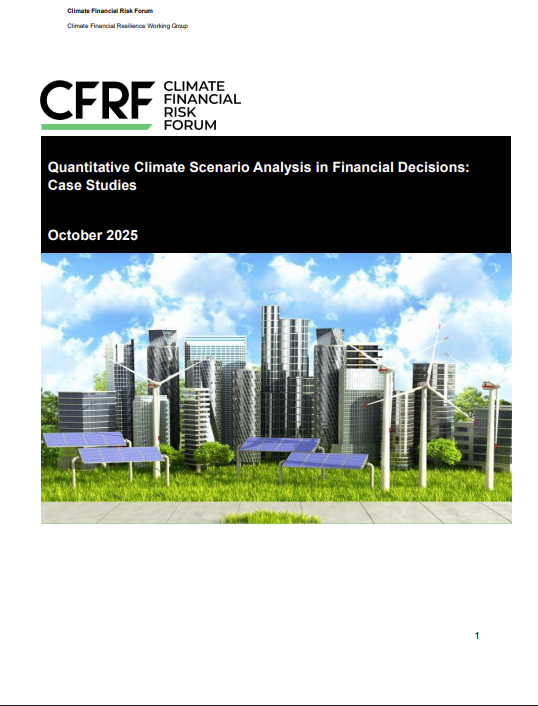 Quantitative climate scenario analysis in financial decisions: Case studies