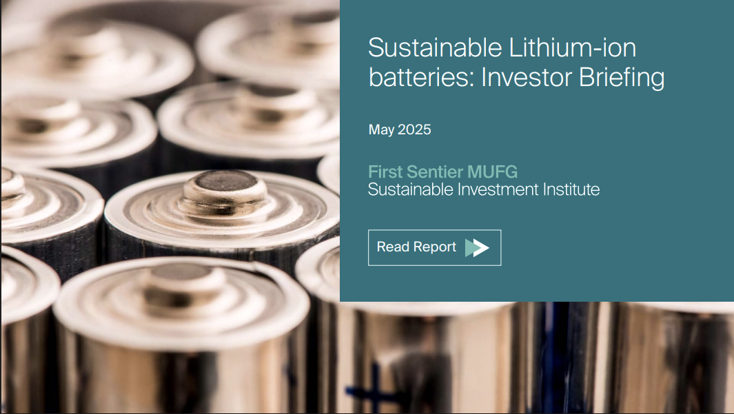 Sustainable Lithium-ion batteries: Investor briefing
