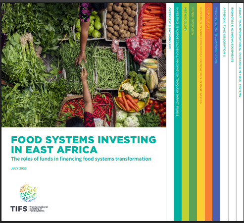 Food systems investing in East Africa: The roles of funds in financing food systems transformation