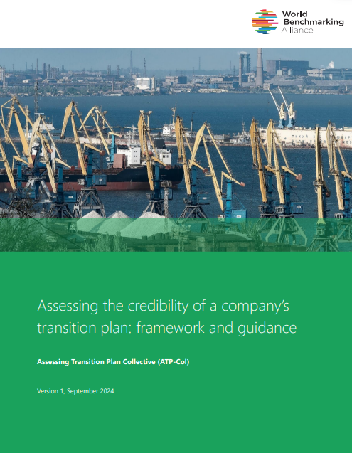 Assessing the credibility of a company’s transition plan: framework and guidance