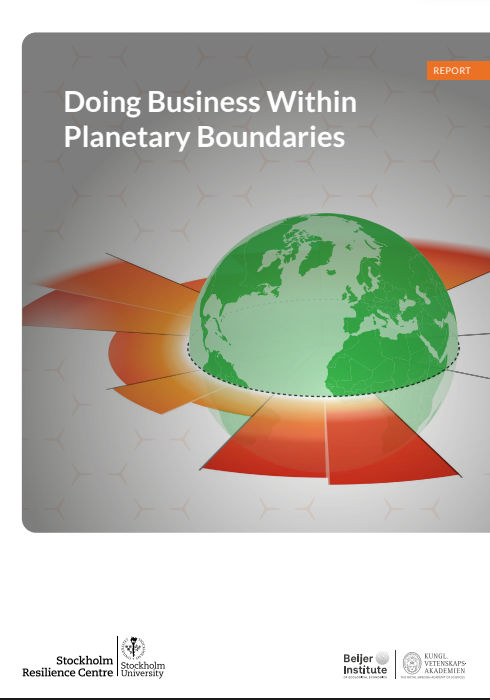 Doing business within planetary boundaries