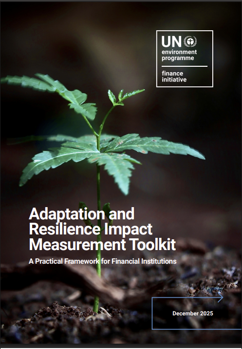 Adaptation and resilience impact measurement toolkit : A practical framework for financial institutions