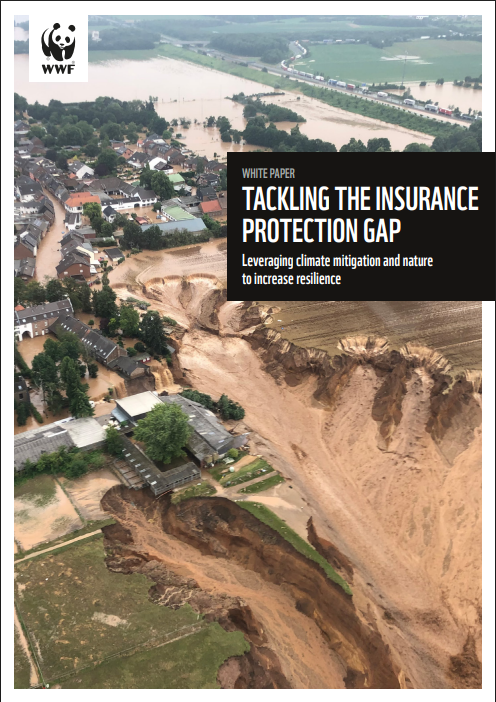 Tackling the insurance protection gap: Leveraging climate mitigation and nature to increase resilience