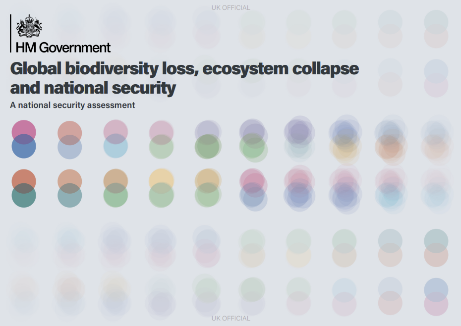 Global biodiversity loss, ecosystem collapse and national security: A national security assessment