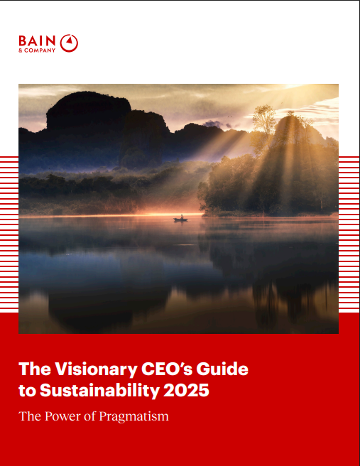 The visionary CEO’s guide to sustainability series
