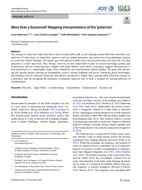 More than a buzzword: Mapping interpretations of the ‘polycrisis’