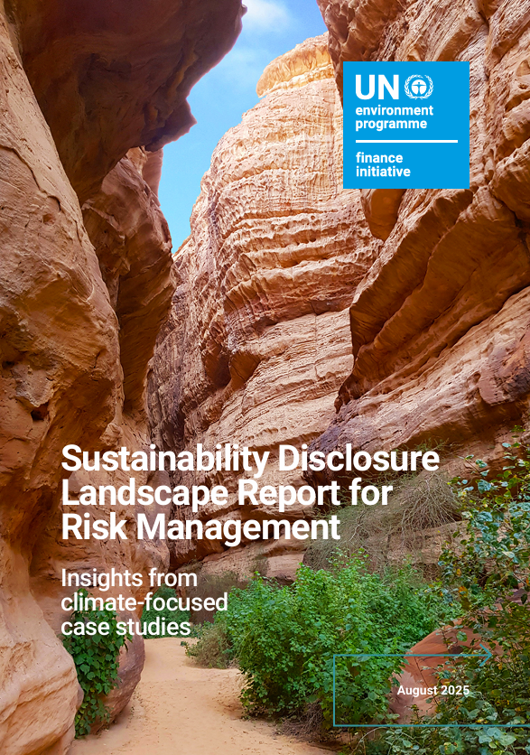 Sustainability disclosure landscape report for risk management: Insights from climate-focused case studies