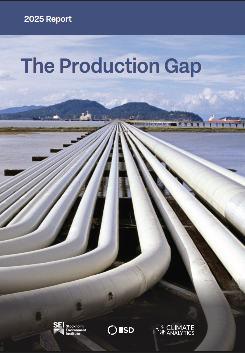 The production gap series