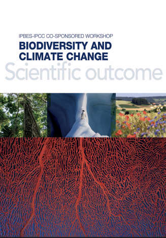 IPBES-IPCC co-sponsored Workshop: Biodiversity and climate change