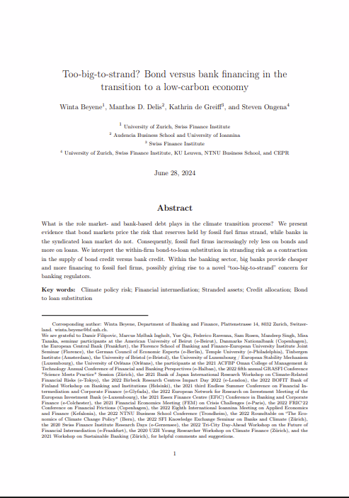 Too-big-to-strand? Bond versus bank financing in the transition to a low-carbon economy
