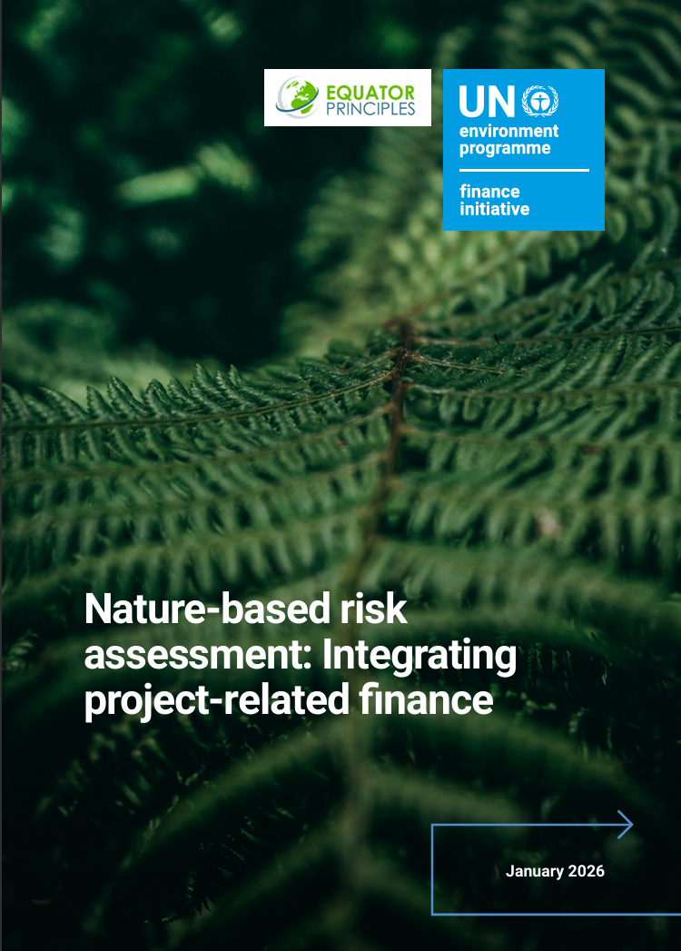 Nature-based risk assessment: Integrating project-related finance
