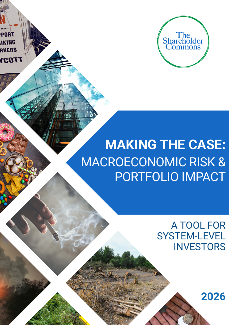 Making the case: Macroeconomic risk & portfolio impact: A tool for system-level investors