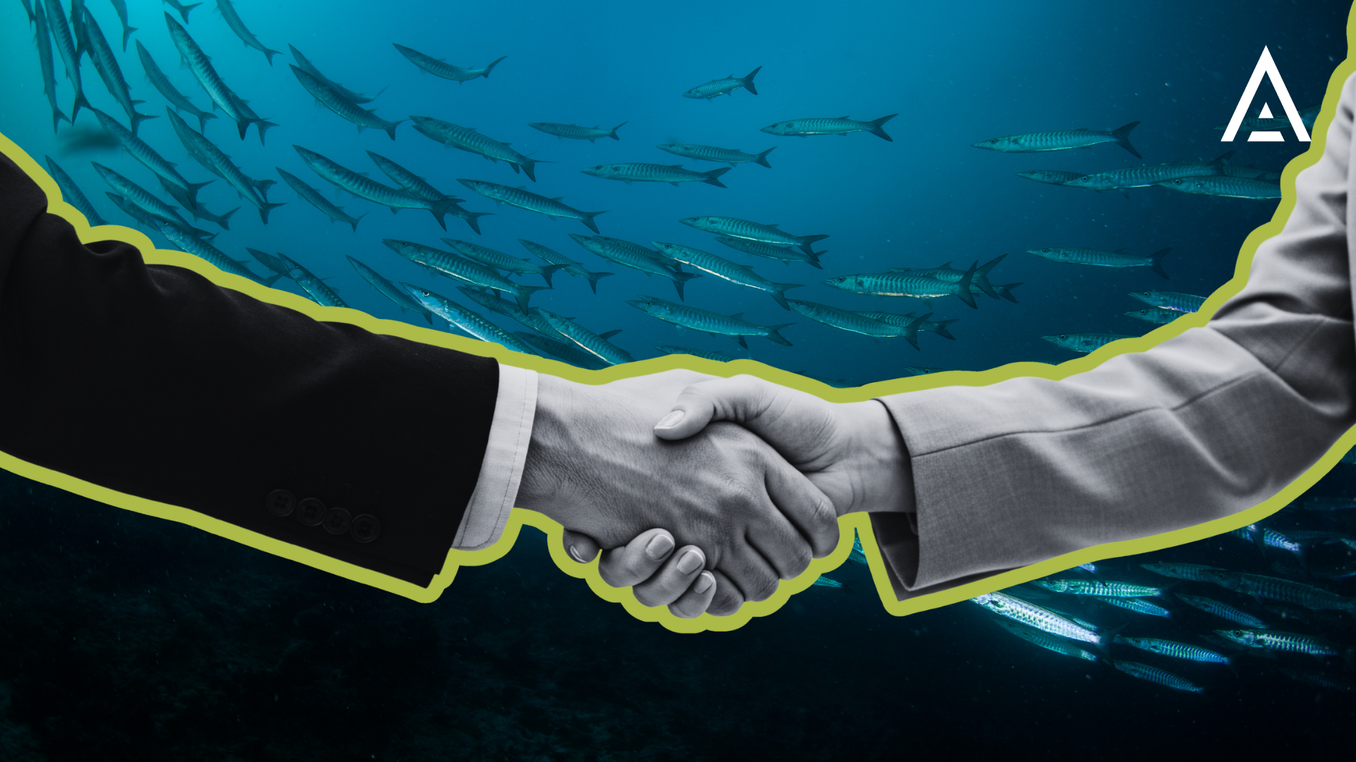 Systems-informed stewardship part III: Reimagining stewardship for a sustainable future